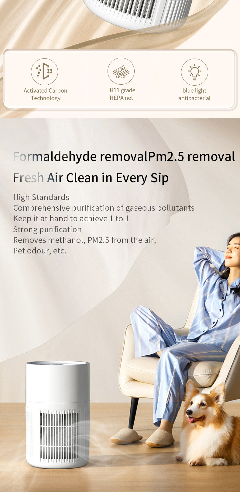 Bacteria Aldehyde Removal Air Purifier